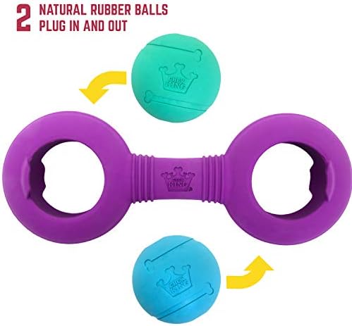Chew King Premium Throw Stick Dog Toy - Durable Natural Rubber Collection, Fetch and Tug Dog Toy, Pet Treat Toys for Boredom