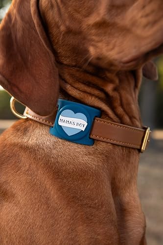 Two Tails Mama's Boy Dog Collar Holder Compatible with Apple AirTag