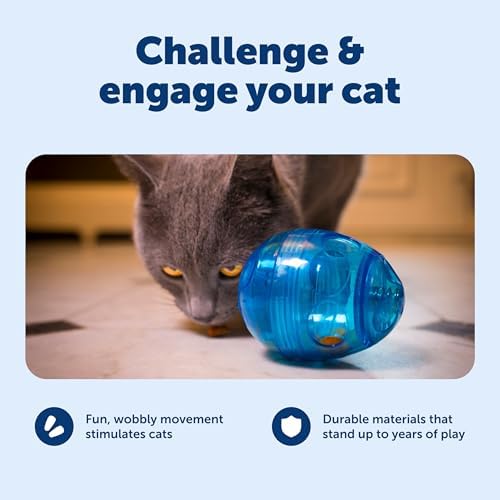 PetSafe Egg-Cersizer Interactive Cat Slow Feeder Toy | Kibble and Treat-Dispensing Cat Toy for Portion Control and Fast Eaters, Improves Digestion, Enrichment Exercise