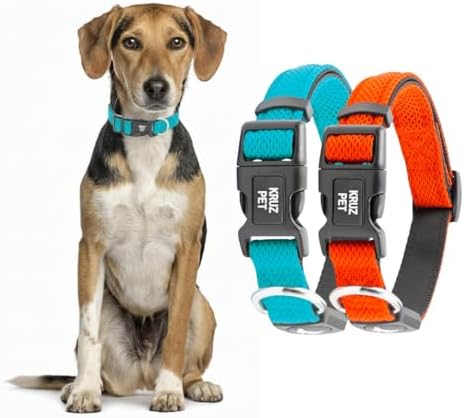 Dog Collar Bundle for Small Dogs (Width- 3/4", Neck - 10.5"-14.5") | Adjustable Padded Turquoise & Orange Dog Collars with Heavy Duty O-Ring | Soft & Comfortable Fit for Dogs