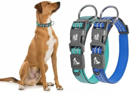 Dog Collar Bundle for Medium Dogs (Width- 3/4", Length - 17"-21.5") | Adjustable Padded Raspberry Turquoise & Blue Dog Collars with Heavy Duty O-Ring | Soft & Comfortable Fit for Medium Dogs