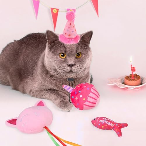 BINGPET Cat Birthday Decorations Outfit, 5 Pcs Catnip Toys for Indoor Cats