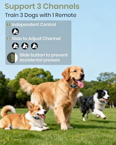 2-in-1 Bark Shock Collar 2 Pack - Smart Anti Barking Dog Training Collar with Beep/Vibration/Shock/Anti Bark 4 Modes, 3300FT IP67 Waterproof E Collar with Remote for Small Medium Large Dogs(8-120lbs)