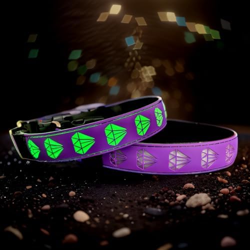 Personalized Dog Collar Waterproof airtag Dog tag Holder,USB C Light up Night Black Dog Collar (Purple, L(15.7-19.7"))