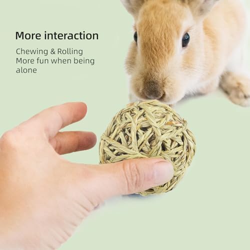 andwe Small Animals Play Balls Rolling Chew Toys (Pack of 9)