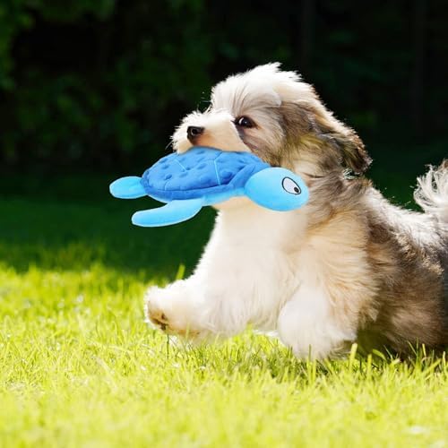 Squeaky Sea Turtle Plush Dog Toy - Durable, No Stuffing (Blue)