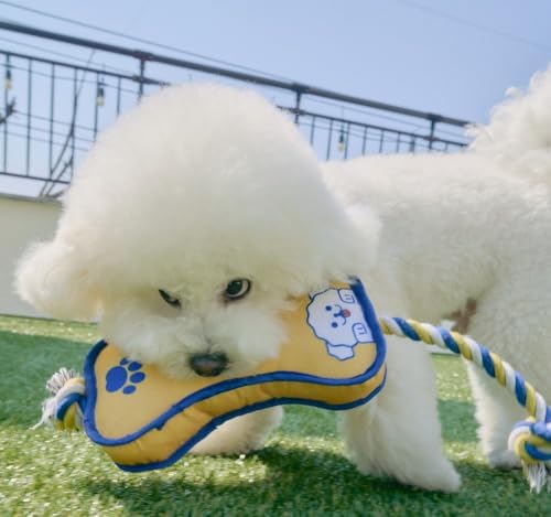 Durable Dog Toy – Interactive Rope Chew Toy with Crinkle Sound – Tough 1680D Fabric Tug Toy for Small, Medium & Large Dogs (Large, Bone)