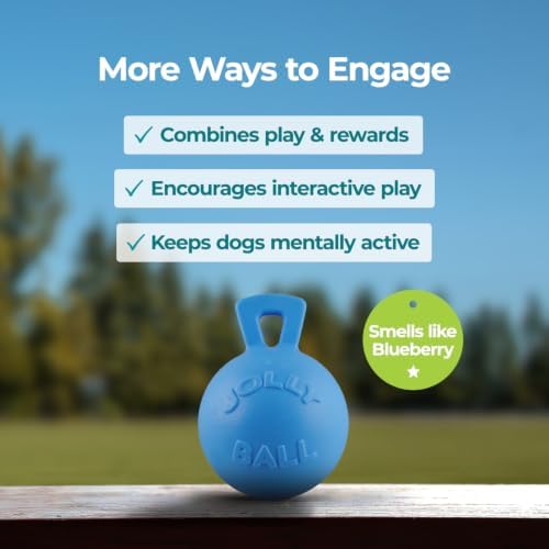 Jolly Pets Tug-n-Toss Heavy Duty Dog Toy Ball with Handle, 8 Inches/Large, Blueberry