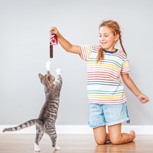 EXPAWLORER Cat Toys- 4 Psc Interactive Horror Knife Cat NipToy for Indoor Cats, Bite Resistant Chew Toys Teeth Cleaning,Gift Indoor Exercise for All Cat Breeds