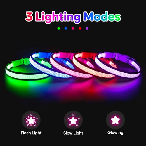 Flashseen LED Dog Collar, Light Up Dog Collar USB Rechargeable, Pink, S