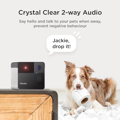 Petcube Play 2 - Wi-Fi Pet Camera with Laser Toy for Cats & Dogs