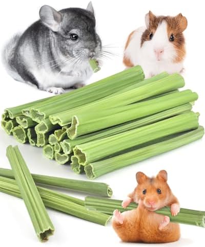 Bissap 25 PCS Guinea Pigs Chew Sticks, Natural Papaya Stems Bunny Chews Treats for Hamsters Chinchillas Small Animals Organic Molar Chewing Snack