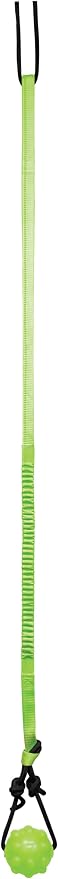 Jolly Pets Tree Tugger for Dog, Green (Pack of 12)