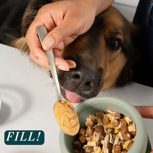 Should We Go? Interactive Dog Enrichment Toy with Freezer Plug, BPA-Free Silicone Puzzle Dog Freeze Bowl & Treat Dispenser for Mental Stimulation, Ideal for Kibble & Frozen Licks, Fits 10 oz, Medium
