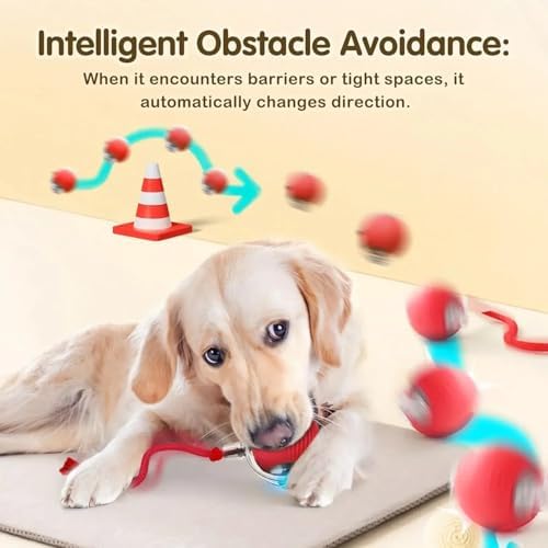 Automatic Ball for Small Dogs & Cats - Activated Moving Toy, Rechargeable, Self Play, Ball Toy with Long Tail Teaser