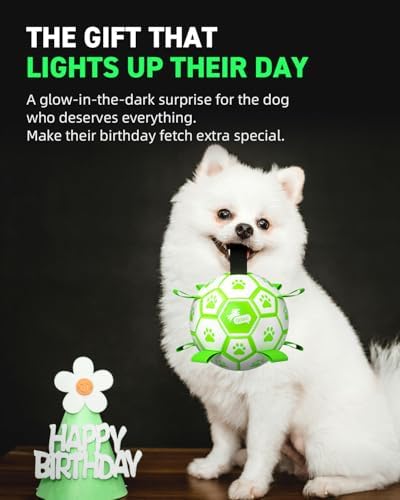 QDAN Glow in The Dark Dog Balls, Soccer Balls for Dogs with Straps, 6 Inch
