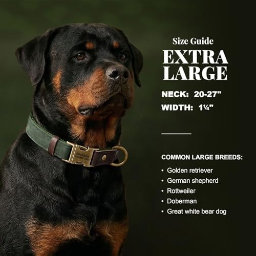 Personalized PU Leather Dog Collars,Quick Release Buckle,Green,XL