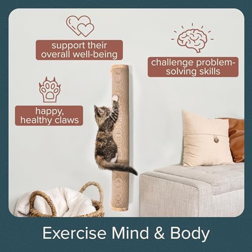 Floating Cat Shelf & Perch – Wall-Mounted Climbing Furniture for Cats - Moonbeam Path | Ascentials by FurHaven
