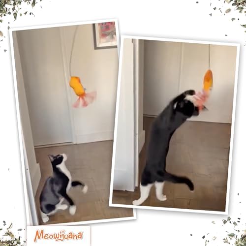 Meowijuana Jump 'n' Jamb Door Hanging Squid Cat Toy | Refillable Plush