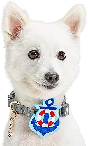 Blueberry Pet Bon Voyage Anchor Design Accessory Set of Collar Slide Hair Clip and Pedant for Dogs & Cats