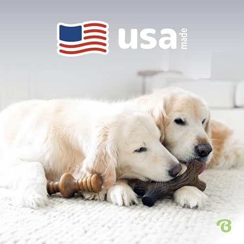 Benebone 2-Count Maplestick/Zaggler Durable Dog Chew Toys, Dog Bones, Medium (Pack of 6)