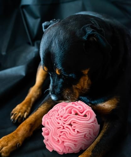 Glory To Dog Medium Breed Snuffle Foraging Dog Puzzle Ball Toy Pink Large