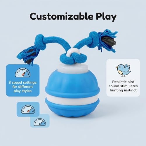 Winb Interactive LED Dog Ball （4 inch）- USB Rechargeable Motion-Activated Rolling Toy for Small to Large Dogs, Dogs Ball Play and Wicked Fun, Squeaky Sound & Stimulation, Blue