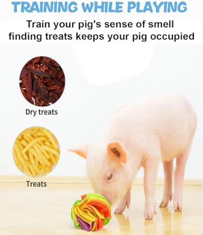 Pig Snuffle Mat and Snuffle Ball for Pigs – Pig Enrichment Toys for Mini Pigs, Potbellied Pigs & Farm Use – Interactive Foraging & Rooting Toy, Slow Feeding Pig Toys Accessories