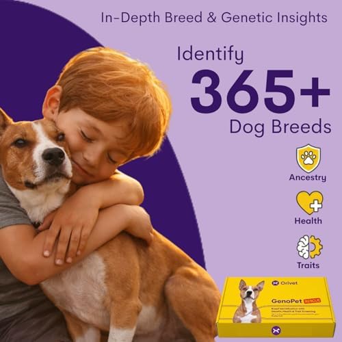 ORIVET GenoPet Rescue Dog DNA Test, Breed ID, Health, Easy At-Home Swab Kit | Results in 3-5 Weeks