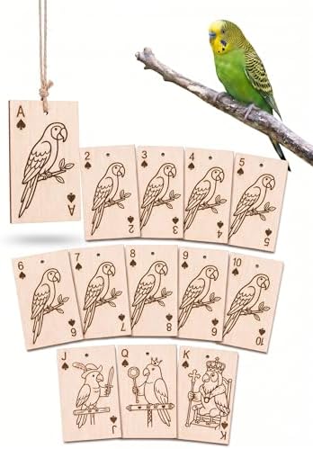 Natural Balsa Wood Bird Chew Toy 13 Count, Shredding Toy for Bird