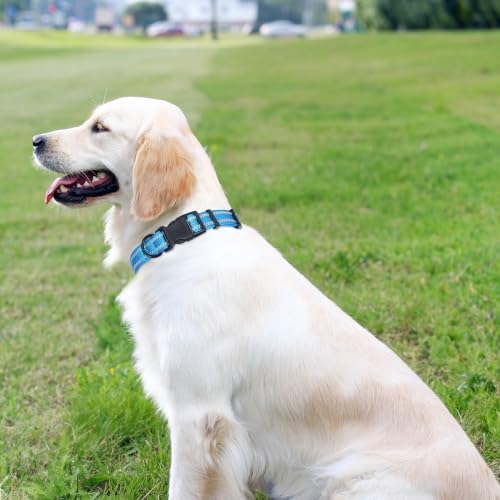 Mile High Life Reflective Dog Collar, Adjustable Lightweight Quick Release