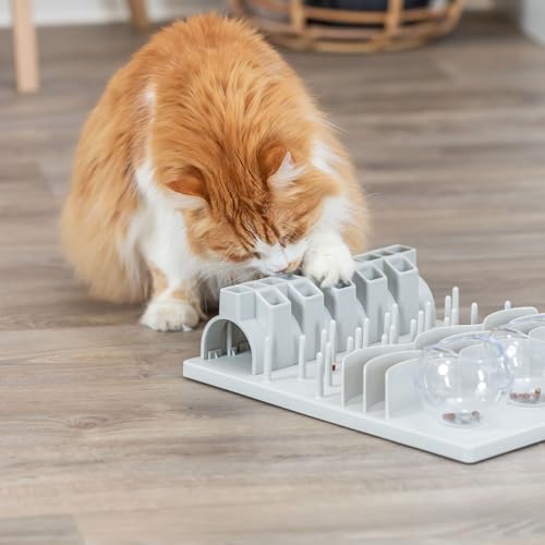 Trixie XXL Fun Board for Cats, 5 Activity Treat Puzzle