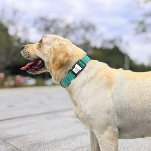 Dog Collar for Small Medium Large Dogs