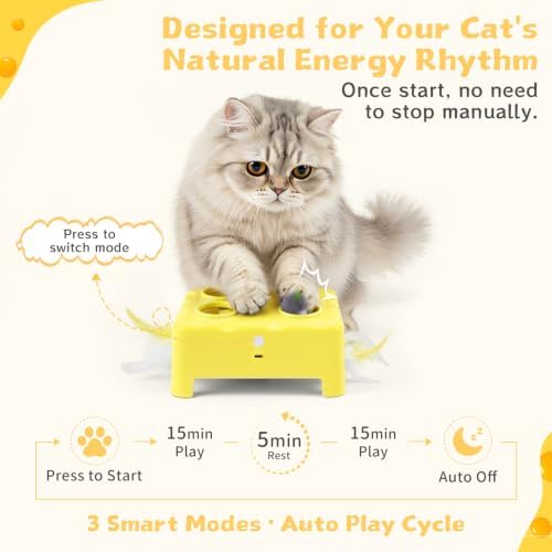 Interactive Cat Feather Toy Cheese Box 3in1 Whack a Mole