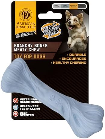 American Kennel Club Training Dog Chew Toy, Large PP Bone Dog Toy, Durable Dog Toy for Moderate Chewers, Beef Scented for Long-Lasting Engagement, Supports Dental Health, Blue
