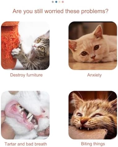 2 Pack of Cat Wand Toy Wood Cat Wand Mouse Toys with Catnip Interactive Kitten Toys for Indoor Cats