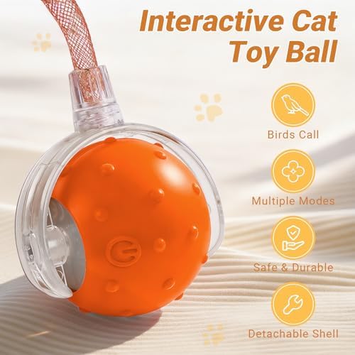 Interactive Cat Ball Toy, Motion Activated Electric Rechargeable Cat Toy