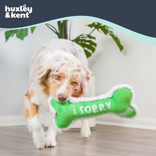Huxley & Kent Funny Dog Toy w/Squeaker – Holiday Power Plush Squeaky Dog Toys for Small, Medium & Large Dogs – Soft Stuffed Animal for Indoor Play & Fetch - Me Did It, I Sorry Bone, Small