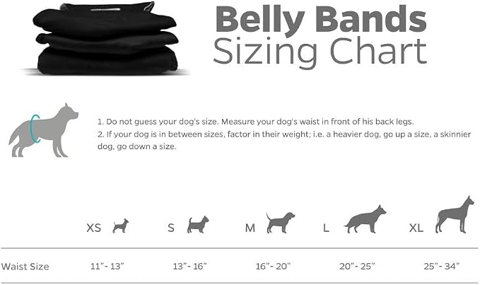 Pet Parents® Washable Belly Bands for Male Dogs (3pack) + Extendrs® of Durable Dog Diapers Male, Premium Male Dog Diapers & Dog Wraps (Small, Black)