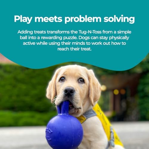 Jolly Pets Tug-n-Toss - Heavy Duty Chew Ball w/ Handle (Blue, 6") for Medium Breeds