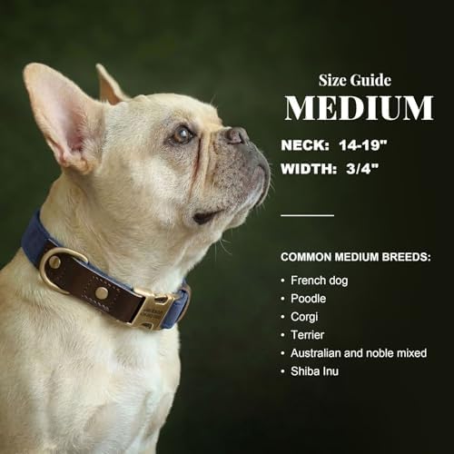 Personalized PU Leather Dog Collars, Quick Release Buckle, Blue,M