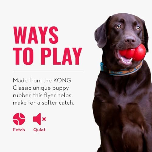 KONG Puppy Flyer, Soft Rubber Flying Disc Toy, for Small Puppies, Pink