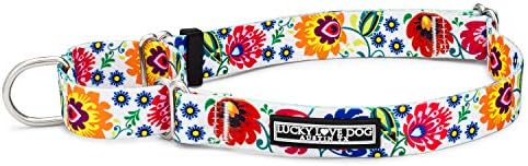 Lucky Love Dog Martingale Collar for Medium Dogs No Slip – Ladybird, Medium