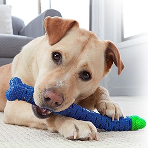 PUPIX Dog Toothbrush Chew Toy with Treat Dispenser Interactive Dental Cleaning Rubber Chew Toy Puppy Teething Toy for Small Medium Dogs Teeth Cleaning & Oral Care