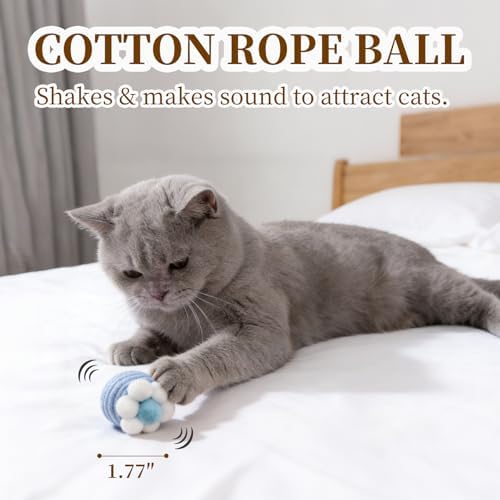 Cat Toys for Indoor Cats, a Set of 25 Interactive cat Toys, Including Colorful Springs, Squeaky Balls, Rainbow Balls, Feather Bouncy Balls, Bell Balls, and Many Other Kitten Toys.