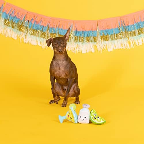 Fringe Studio Plush Dog Toy Set, ON Margarita TIME, 3 Piece Set for Dogs (289590), Multicolor, X-Small