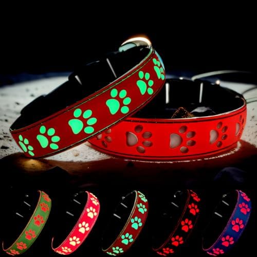 Personalized Light Up Dog Collar with Laser Engraved ID Tag