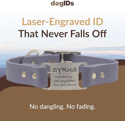 dogIDs Personalized Dog Collar – ScruffTag Custom Waterproof Biothane Dog Collar with Laser-Engraved Name, Durable & Odor-Resistant – USA Made | Grey, 1 in x 20 in (Fits Neck Sizes 18-22 in)