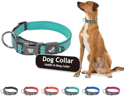 Dog Collar for Medium Dogs (Width- 3/4", Length - 17"-21.5") Adjustable Padded Turquoise Dog Collar with Heavy Duty D-Ring | Soft Comfortable Fit for Medium Dogs | Medium