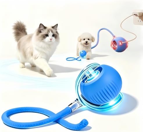 Nicoybore pet toy ball, USB charging, automatic standby, made of durable materials, providing interactive entertainment for cats and dogs. Luminous sphere attracts pets to chase after (1, blue)